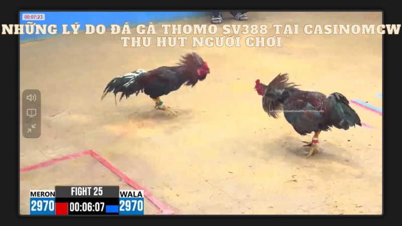 word image 14140 2 1