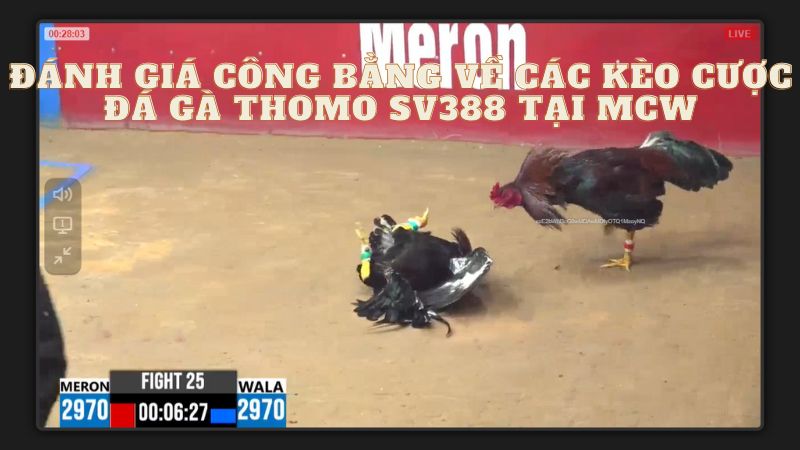 word image 14140 3 1